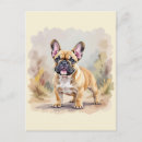 Recherche de fauve cartes postales Animaux