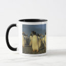 Recherche de gentoo tasses Faune