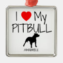 Recherche de pitbull ornements Noël