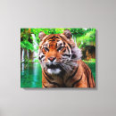 Zoek naar kat canvas prints Wilde dieren