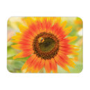 Zoek naar zonnebloemen magneten Usa