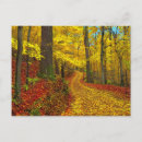 Recherche de rarement cartes postales Nature