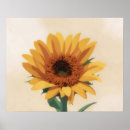 Zoek naar bloemen kunst Floraal