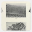 Recherche de agriculture photographie Illustrations