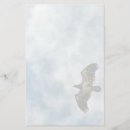 Zoek naar kaal briefpapier Adelaar