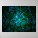 Zoek naar synapsen posters Horizontaal