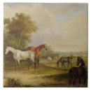 Recherche de beau cheval carreaux Gris