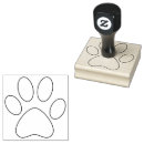 Recherche de droits des animaux Chat