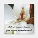 Recherche de sentiments magnets Famille