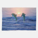 Recherche de lever soleil cuisine linges Amour