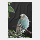 Recherche de perruches cuisine linges Oiseaux