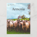 Recherche de troupeau cartes postales Troupeau de moutons
