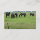 Recherche de photo de cheval cartes visite Ferme