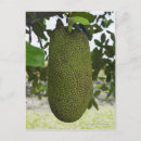 Recherche de suspendu cartes postales Nature