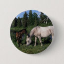 Recherche de en arabe badges Cheval