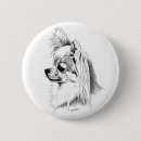 Recherche de chiwawa badges Chiot