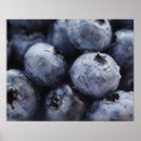 Recherche de myrtilles posters Fruit