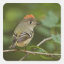 Recherche de habitat autocollants Nature