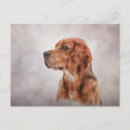 Recherche de dessin de beagle cartes postales Chien