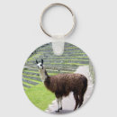 Recherche de alpacas porteclés Animaux