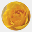 Recherche de rosas autocollants Floral