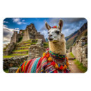 Recherche de llama magnets Coloré