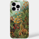 Zoek naar haeckel iphone hoesjes Planten