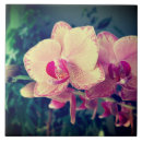 Recherche de flower carreaux Orchidée