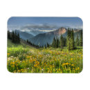 Recherche de fleurs de montagne magnets Paysage