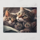 Recherche de felines cartes postales Contenu générationnel