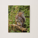Recherche de écureuil puzzles Gris