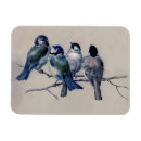 Recherche de oiseau vintage magnets Antique