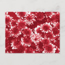 Recherche de dahlia cartes postales Rouge