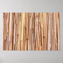 Recherche de bambou posters Nature