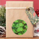 Recherche de symboles irlandais autocollants Shamrock