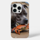 Recherche de amical coques Animal