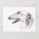 Zoek naar borzoi briefkaarten Wolfshond