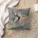Recherche de teton grand coussins Wyoming