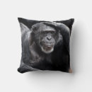 Recherche de chimpanzé coussins Faune