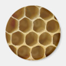 Recherche de ruches magnets Nature