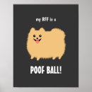 Recherche de pom pom posters Animaux