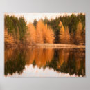 Recherche de automne m art Arbres