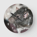 Recherche de rat horloges Rongeur