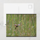 Recherche de mammouth cartes postales Nature