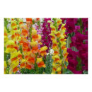 Recherche de floral coloré posters Fleur
