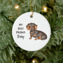 Zoek naar teckel kerstdecoratie Dachshund