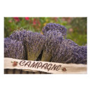 Recherche de naturel posters Flore