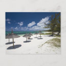 Recherche de orientale cartes postales Arbre