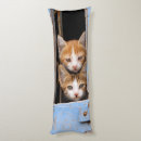 Zoek naar luid kussens Kat