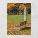 Recherche de banc parc cartes postales Chute